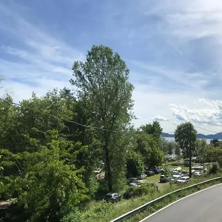 The Gulf Sailor's - Maggiore *